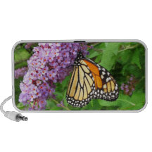 Pretty Monarch ~ speaker