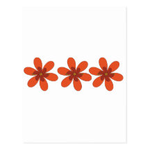 pretty orange flower postcards