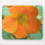 Pretty Orange Nasturtium Flower Mousepad