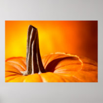 Pretty Orange Pumpkin Print