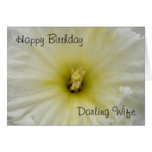 Pretty Pale Daffodil Custom Greeting Card