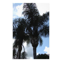 Pretty Palms Stationery