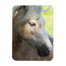 Pretty Palomino Flexible Magnet