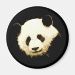 Pretty Panda Refrigerator Magnets