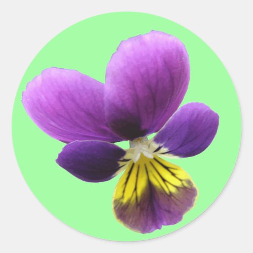 Pretty Pansy Sticker