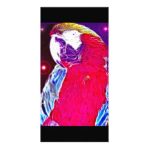 *Pretty Parrot* Wild Spirit Design Photo Card