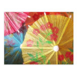 Pretty Party Parasols Postcards