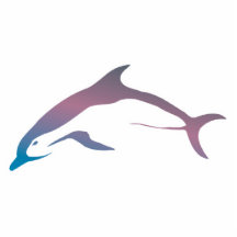 pretty pastel dolphin cut outs