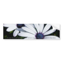 Pretty Petals 5 Bumper Sticker