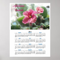 Pretty Pink African Violet 2011 Calendar Print
