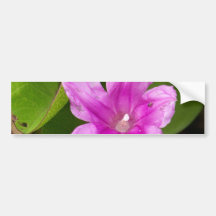 Pretty Pink Flower Bumper Sticker