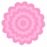 Pretty pink flower. White Background. Cut Out