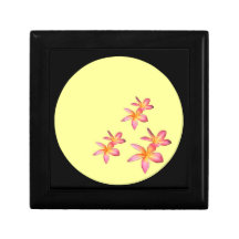 Pretty Pink Frangipani from Costa Rica Gift Boxes