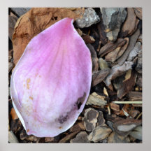 Pretty Pink Petal Poster