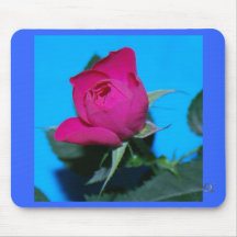Pretty Pink Rose Mouse Pads