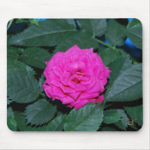 Pretty Pink Rose Mousepad