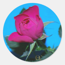 Pretty Pink Rose Round Stickers