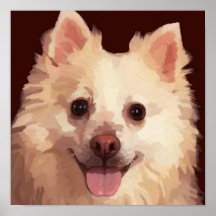 Pretty Pom Poster