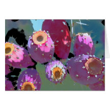 Pretty Prickly Pears Cards