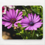 Pretty Purple Flower Floral Photo Gift Mousepad