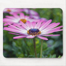 Pretty Purple Mouse Pad