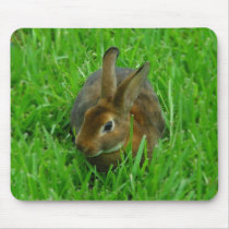 Pretty Rabbit Mousepads