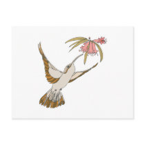 pretty realistic hummingbird postcard