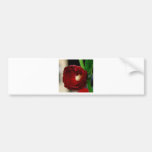 Pretty red flower bumper sticker