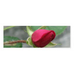 Pretty Rose Bookmark Business Cards