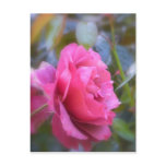 Pretty Rose Postcards