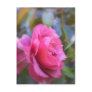 Pretty Rose Postcards
