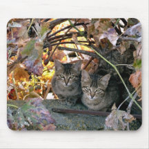 Pretty Spanish Feral Cats Charity Mouse Pad