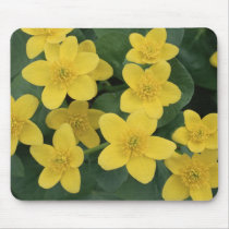 Pretty Spring Daffodils Mousepad