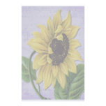 Pretty Sunflower On Sheet Music Stationery Design