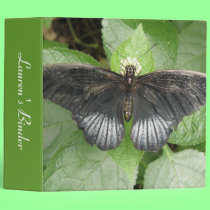 Pretty Tropical Butterfly and Flower Custom Binder binders