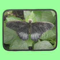 Pretty Tropical Butterfly and Flowers Folio planners