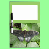 Pretty Tropical Butterfly and Flowers Memo Board dry erase boards