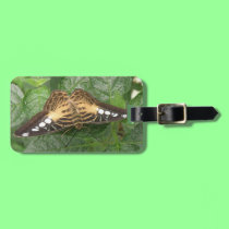 Pretty Tropical Clipp Butterfly Custom Luggage Tag luggage tags