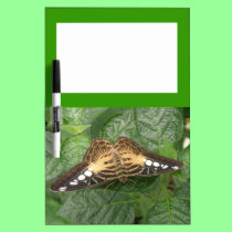 Pretty Tropical Clipper Butterfly Memo Board dry erase boards