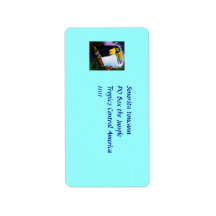 Pretty tropical Toucan avery address label