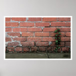 Pretty Wall Plant Poster