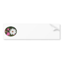 Pretty White and pink flowers. Oval. Bumper Sticker