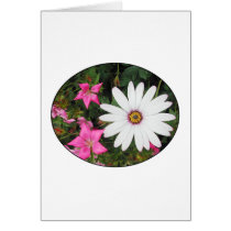 Pretty White and pink flowers. Oval. Card