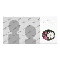 Pretty White and pink flowers. Oval.