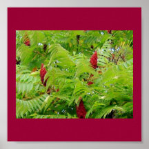 Pretty Wild Nature Poster