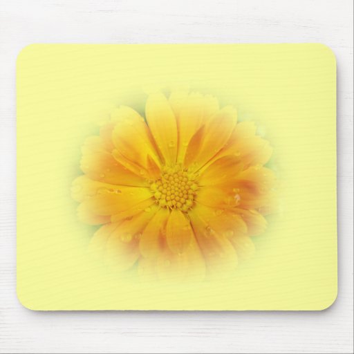 pretty yellow daisy flower mouse pads