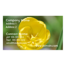 Pretty Yellow Tulip Business Cards