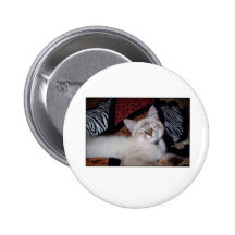 PrettyBoyJet Buttons