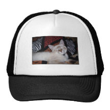 PrettyBoyJet Mesh Hat