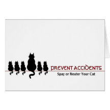 "Prevent Accidents" (cats) Card